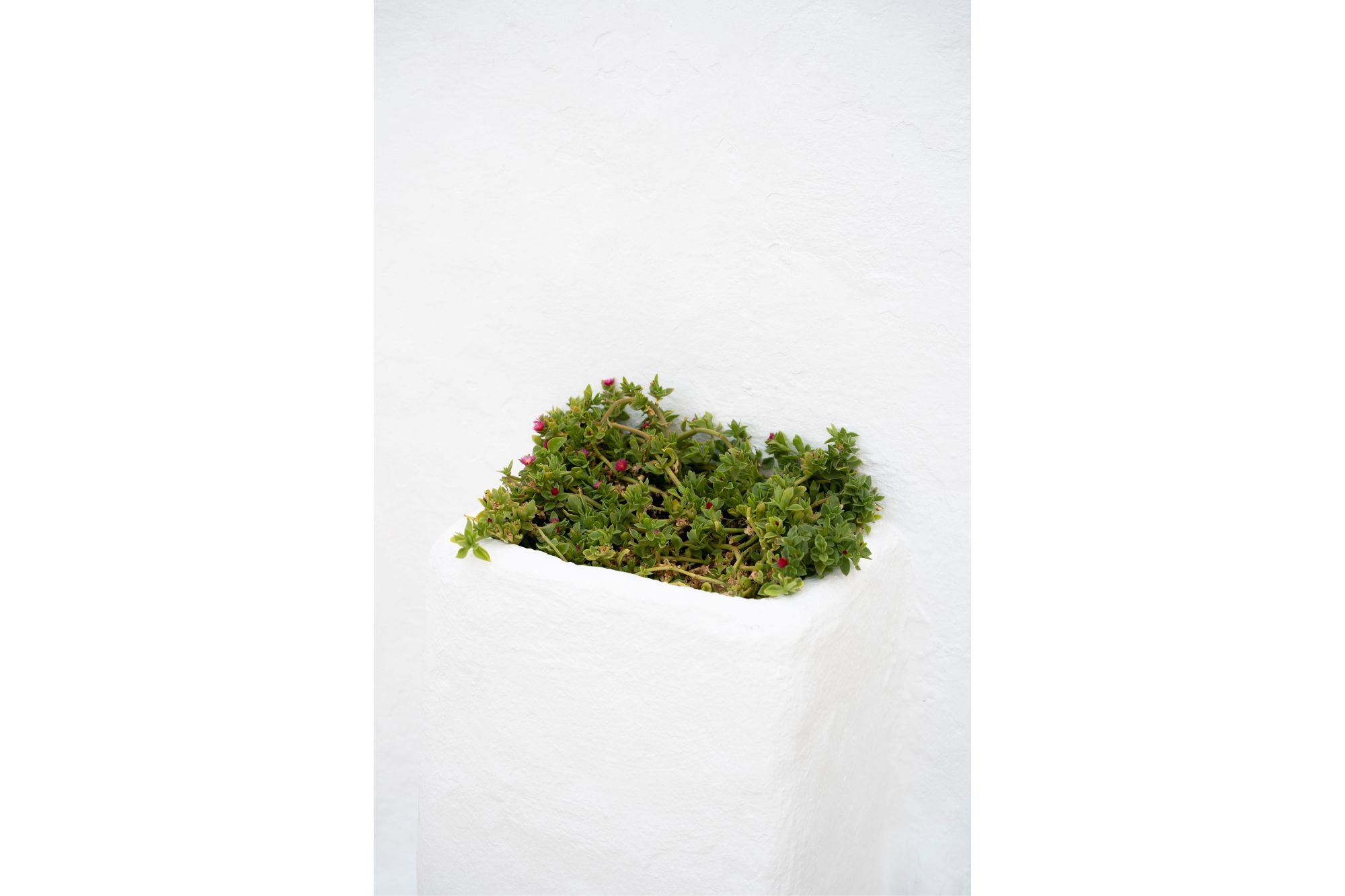 vertical pagina web (7)